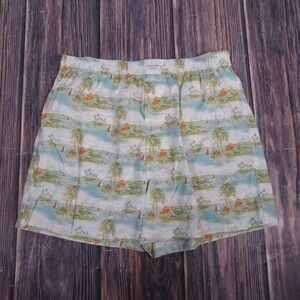 American Eagle NEW Mens Medium Boxer Shorts Beach Summer Boat